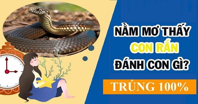 Nằm mơ thấy rắn đánh de con gì và ý nghĩa giấc mơ