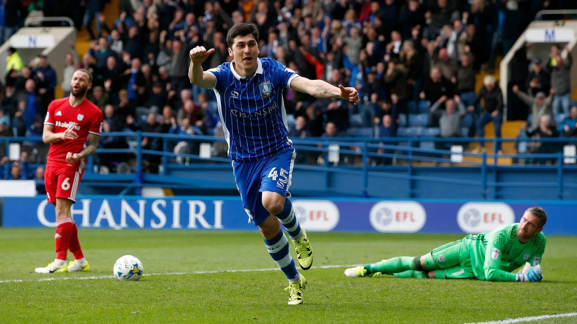 Fernando Forestieri thi đấu cho Sheffield Wednesday