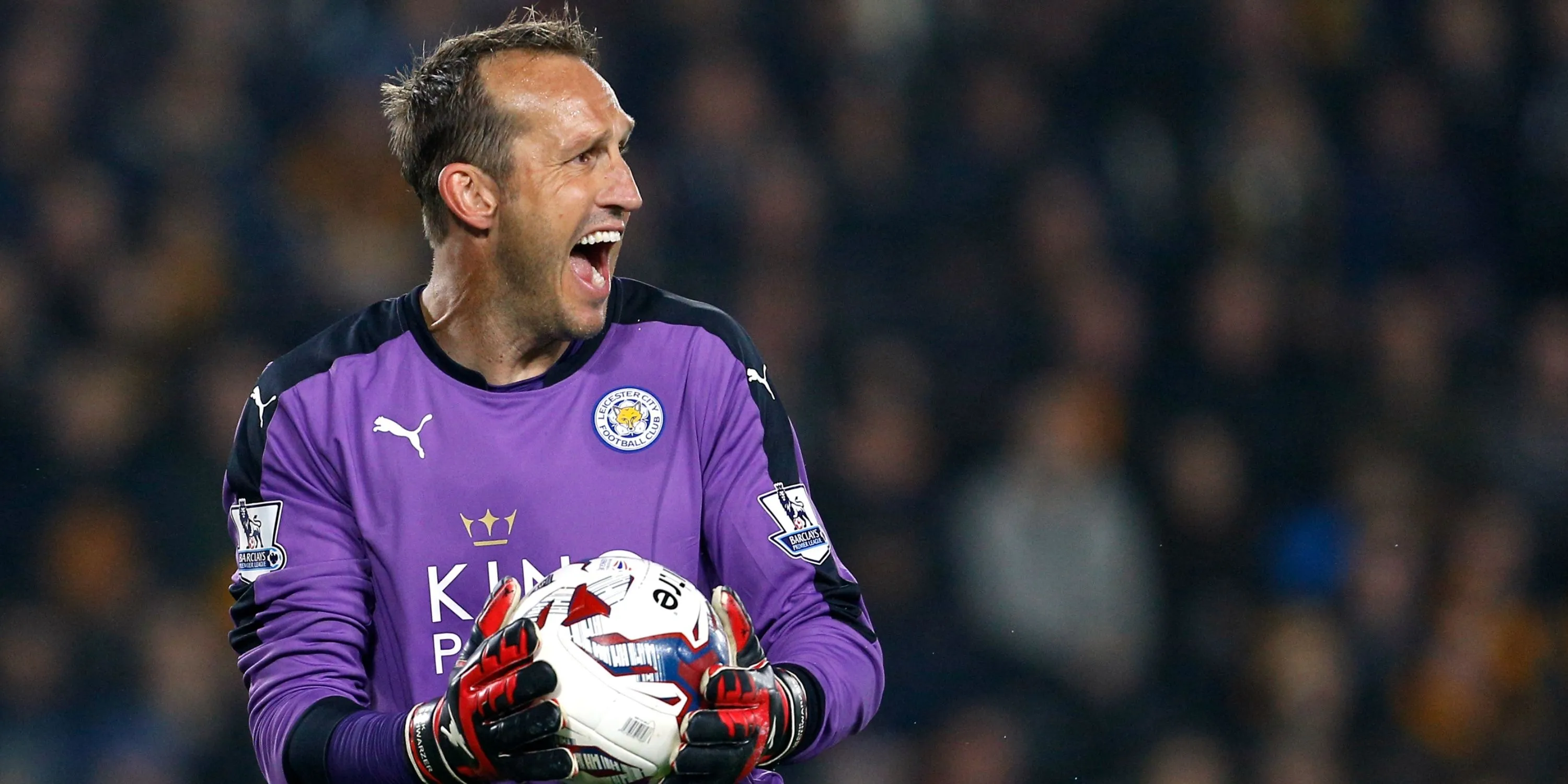 Mark Schwarzer chỉ đạo đồng đội trong một trận đấu tại Premier League