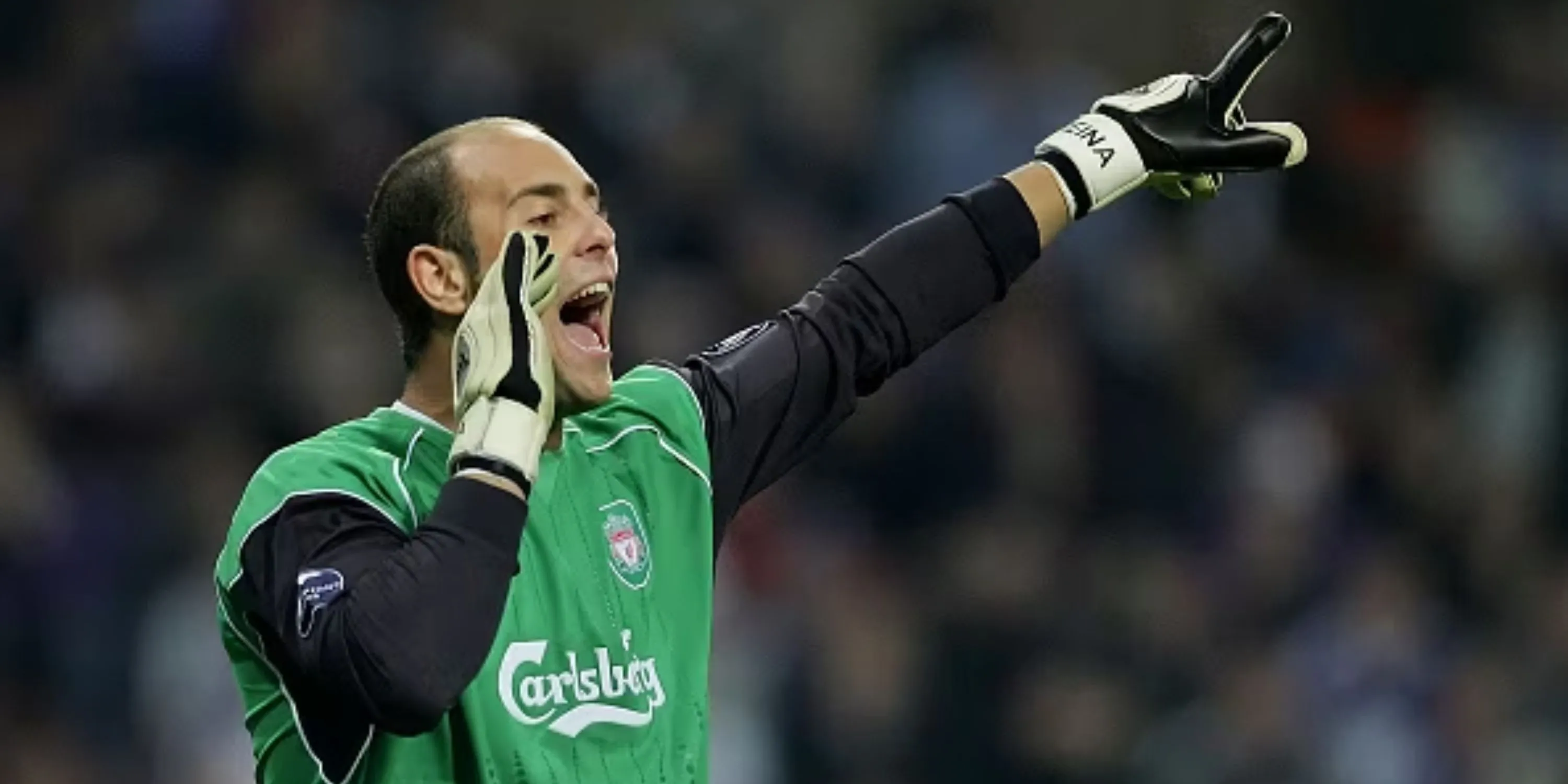 Pepe Reina đứng trong khung thành cho Liverpool tại Premier League