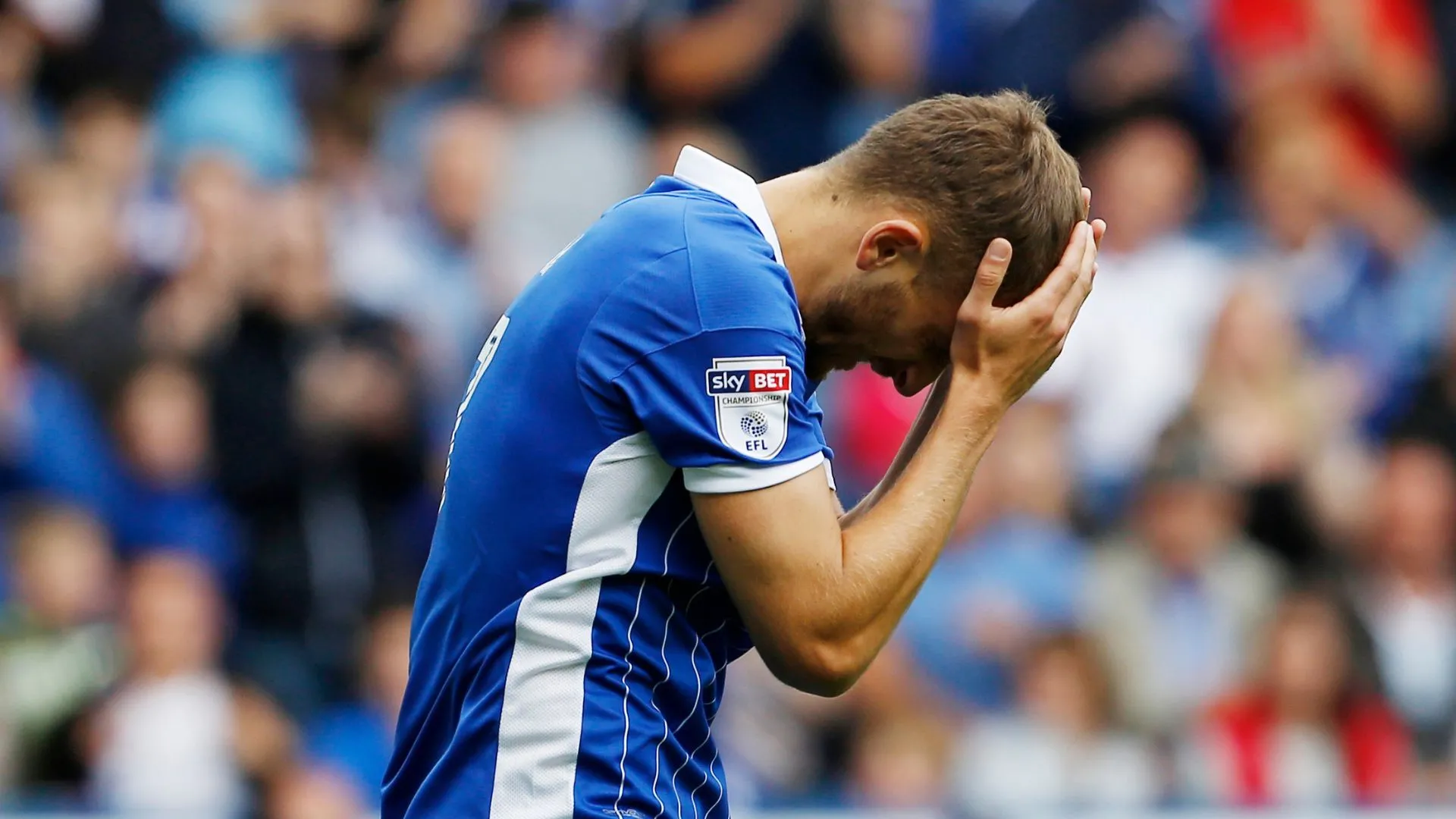 Almen Abdi trong màu áo thi đấu của Sheffield Wednesday