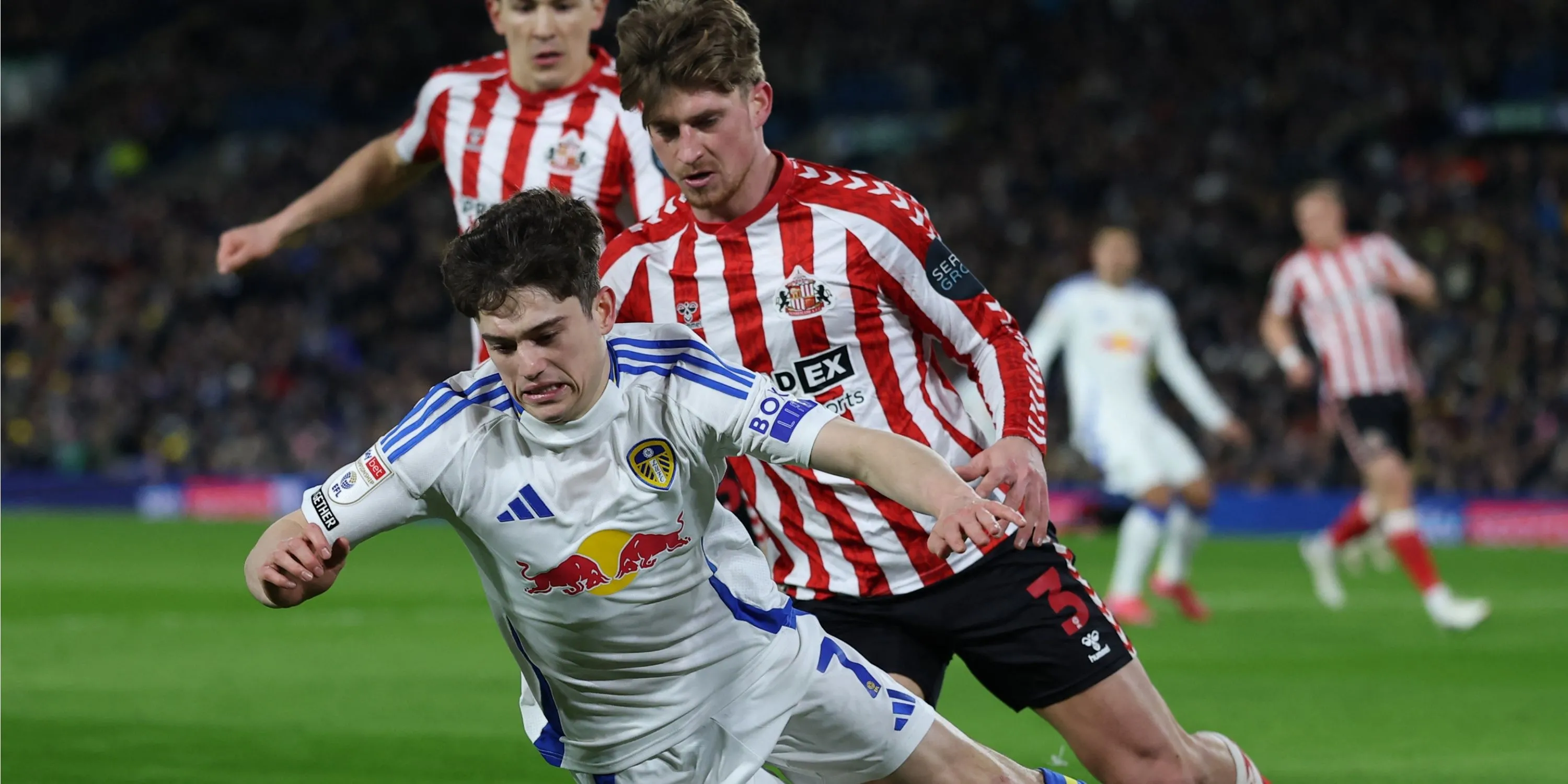 Dennis Cirkin trong màu áo Sunderland.