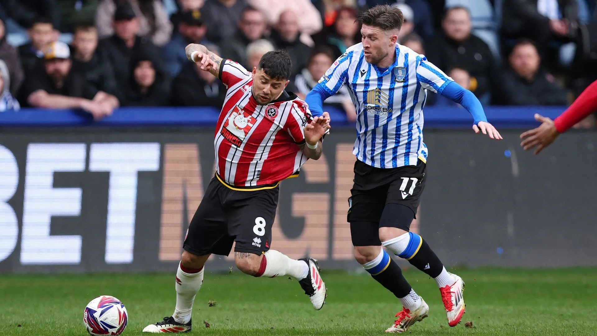 Josh Windass thi đấu cho Sheffield Wednesday